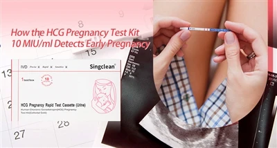 Kif il-Kit tat-Test tat-Tqala HCG 10 MIU/ml Jiskopri Tqala Bikrija